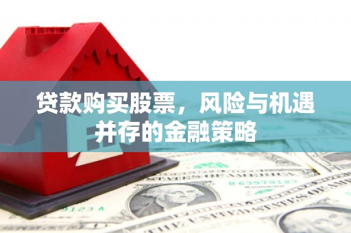 庐阳贷款购买股票，风险与机遇并存的金融策略