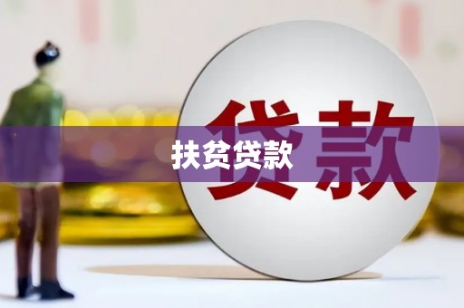 庐阳扶贫贷款