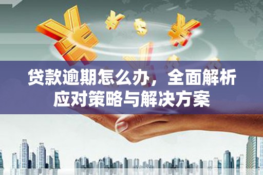 庐阳贷款逾期怎么办，全面解析应对策略与解决方案
