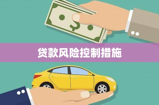 庐阳贷款风险控制措施