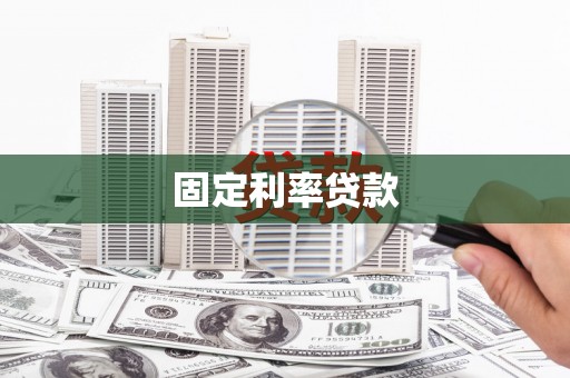庐阳固定利率贷款