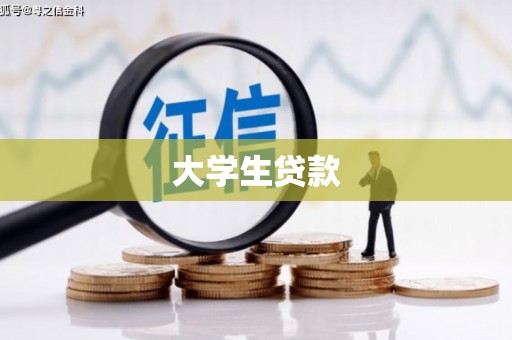 庐阳大学生贷款