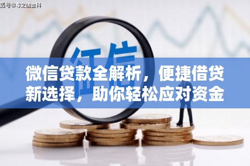 庐阳微信贷款全解析，便捷借贷新选择，助你轻松应对资金需求
